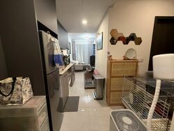 Riverfront Residences (D19), Apartment #522767721